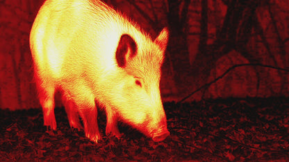 ATN |  BlazeHunter XD LRF 1280x1024 | 2-16x